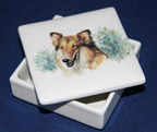 Collie-Tile-box.jpg