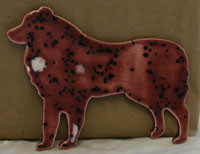 Border_Collie_Stuff/Magnets-ornaments/Ausie-Crystal-Magnet.jpg