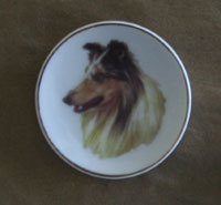 Border_Collie_Stuff/Magnets-ornaments/Collie-Magnet.jpg