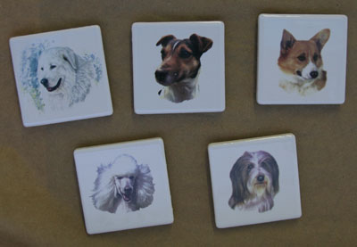 Border_Collie_Stuff/Magnets-ornaments/Dog-Head-square-Magnets.jpg
