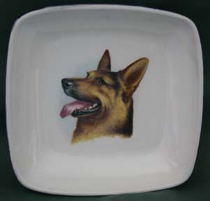 COINbowlGshepard.jpg