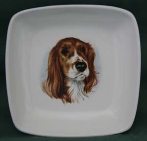 dogstuff/COINbowlSPANIEL.jpg