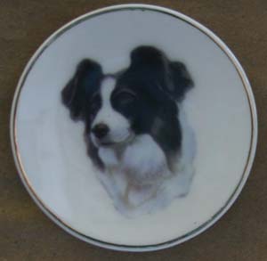dogstuff/MagBCbigear.jpg