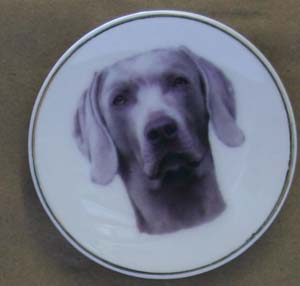 dogstuff/MagWeim.jpg