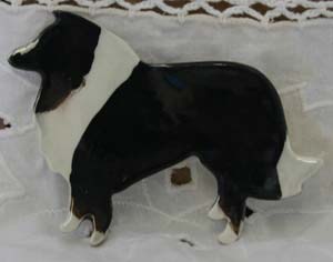 blackandwhitecollie.jpg