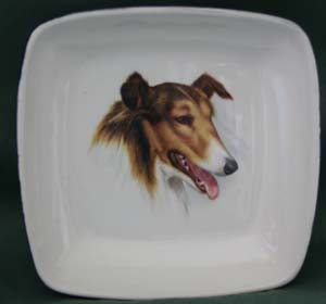 dogstuff/colliecoin.jpg