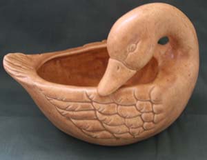 duckPLANTERltORGspec.jpg