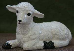 lambBLKwhiteGLOSSY.jpg