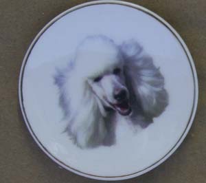 poodle-mag.jpg