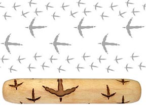SD2972BirdFootPrints-4x3