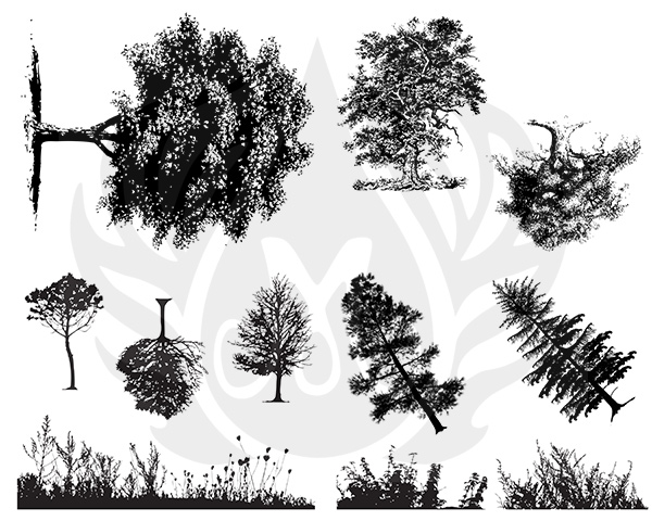 BotanicalTrees-8.25.jpg