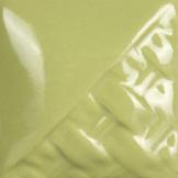 SW514_Sage_Gloss