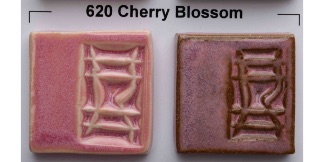620-Cherry-Blossom