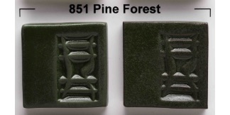 851-Pine-Forest