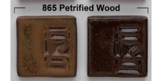 865-Petrified-Wood